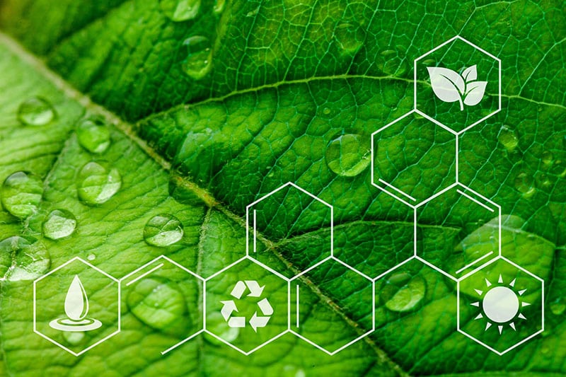 closeup of leaf with overlay of environmental icons.